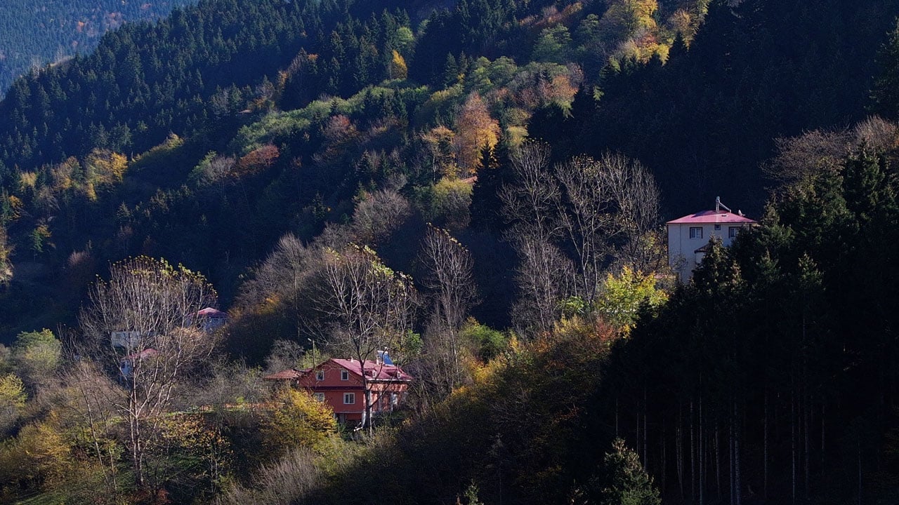 Her karesi kartpostal gibi! Hamsiköy’de doğa mest ediyor