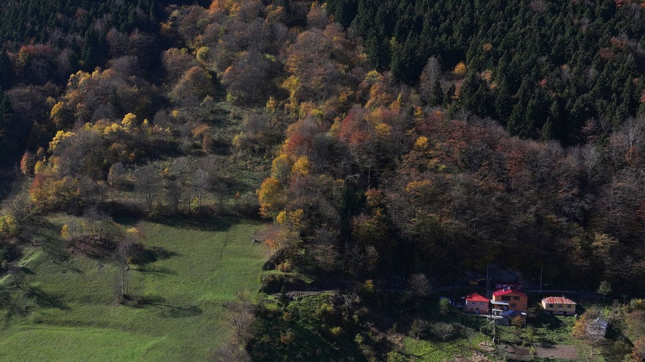 Foto - Her karesi kartpostal gibi! Hamsiköy’de doğa mest ediyor