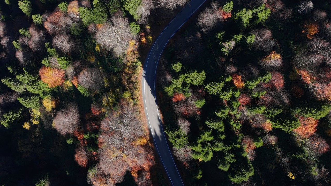 Foto - Her karesi kartpostal gibi! Hamsiköy’de doğa mest ediyor