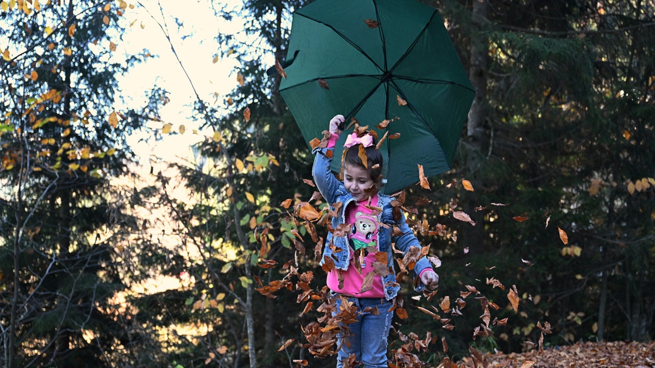 Foto - Her karesi kartpostal gibi! Hamsiköy’de doğa mest ediyor