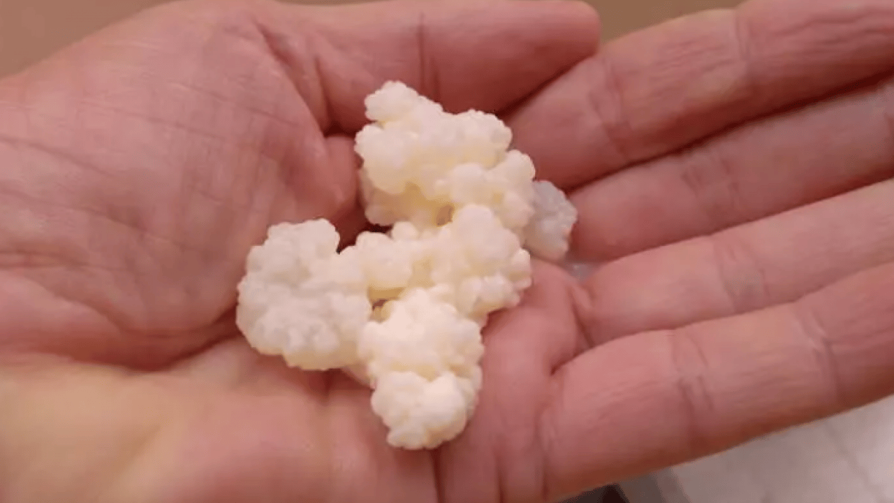 Foto - Her lokması altın değerinde: Bütün gün tok tutan ikili!