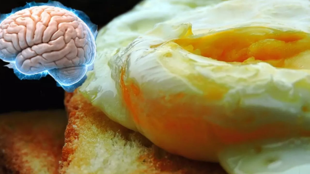 Foto - Her mutfakta mutlaka var: Hafızayı çelik gibi yapıyor!