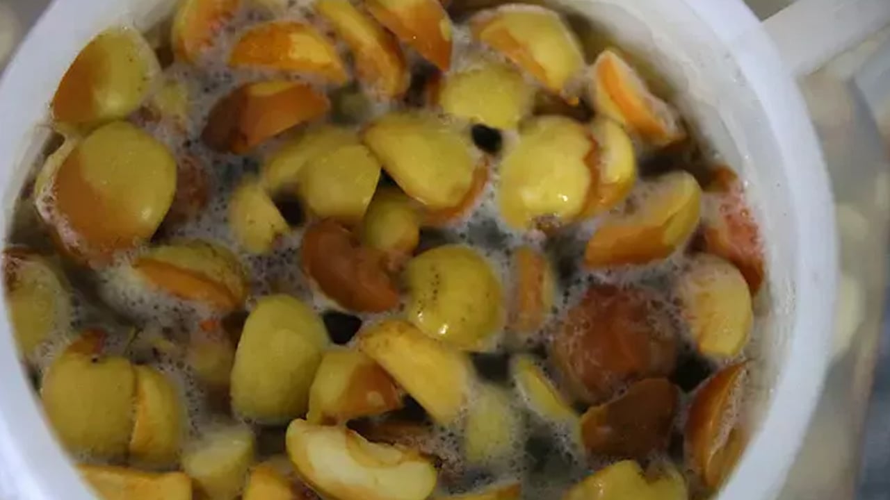 Her sabah 1 bardak için: Bağırsakları motor gibi çalıştırıyor, tıkalı damarları hortum gibi açıyor