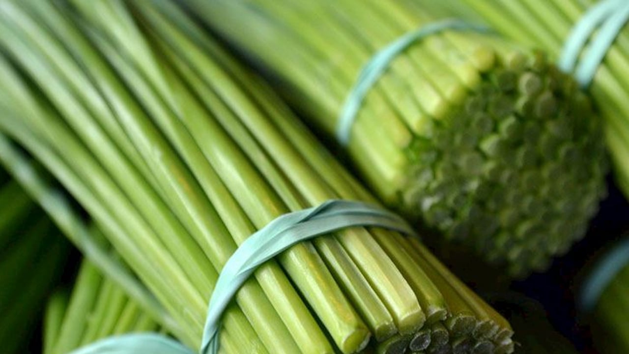 Foto - Her sabah içenlerin vücudu bayram ediyor! Limon otu mucizesi: Sağlığa faydaları saymakla bitmiyor