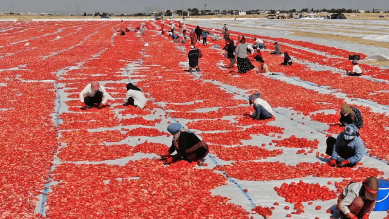 Her sabah kahvaltıda tüketiliyor: Gaz ve hazımsızlık yapıyor!