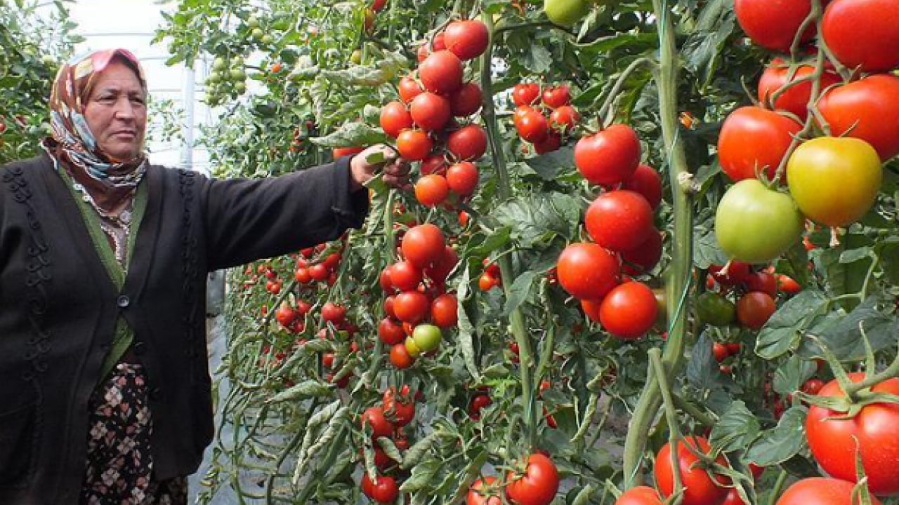 Foto - Her sabah kahvaltıda tüketiliyor: Gaz ve hazımsızlık yapıyor!