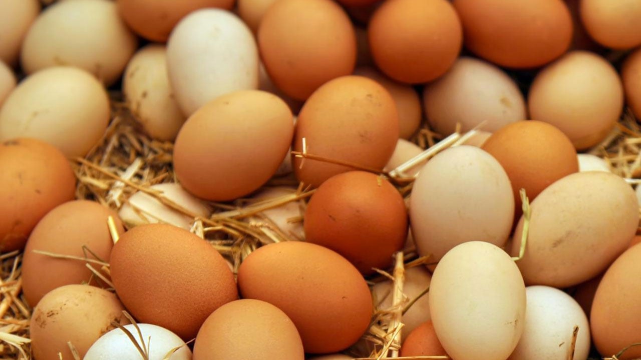 Foto - Her sabah yiyoruz ama etkisini bilmiyoruz! Yumurtanın vücutta yaptığı şey şaşırtıyor