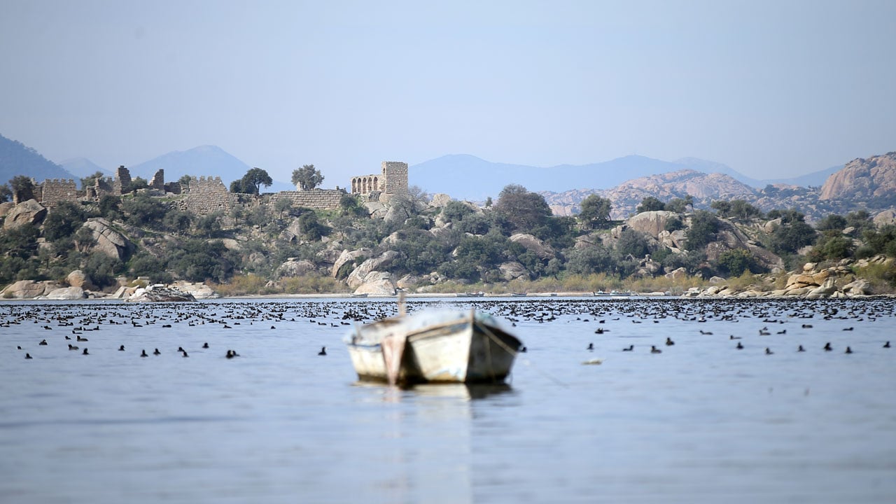 Foto - Her şey değişmeye başladı! Bafa Gölü’nde sular yükselince yaşam hareketlendi