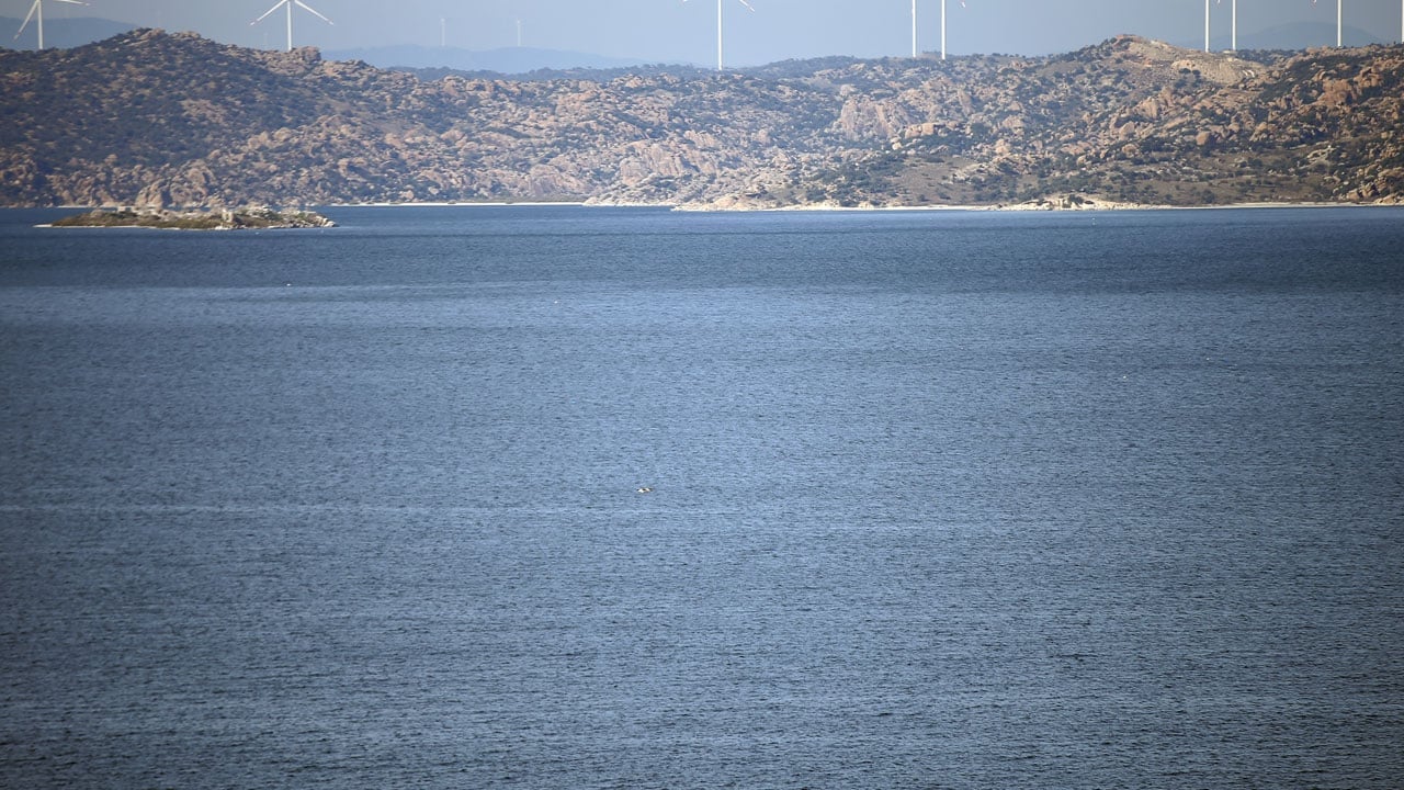 Foto - Her şey değişmeye başladı! Bafa Gölü’nde sular yükselince yaşam hareketlendi