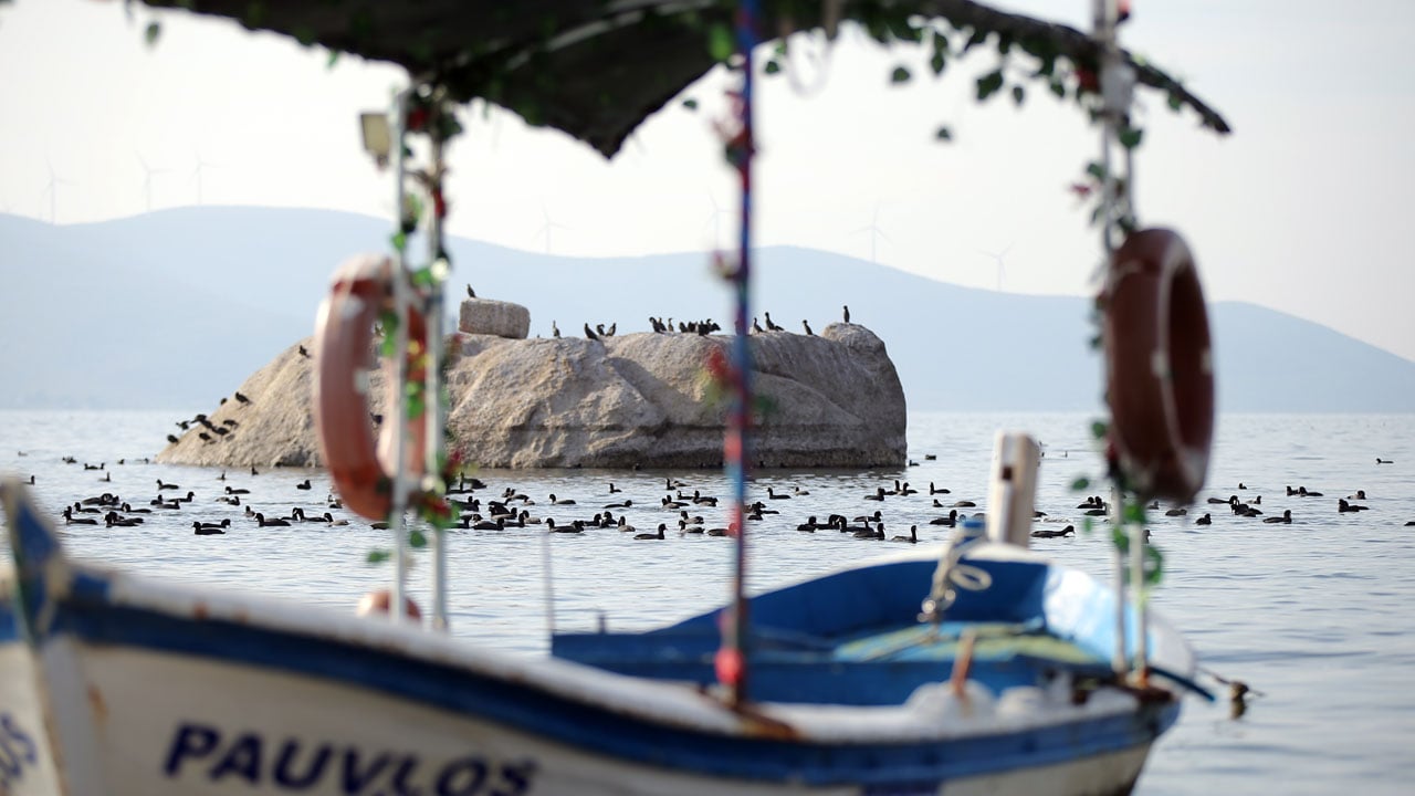 Foto - Her şey değişmeye başladı! Bafa Gölü’nde sular yükselince yaşam hareketlendi