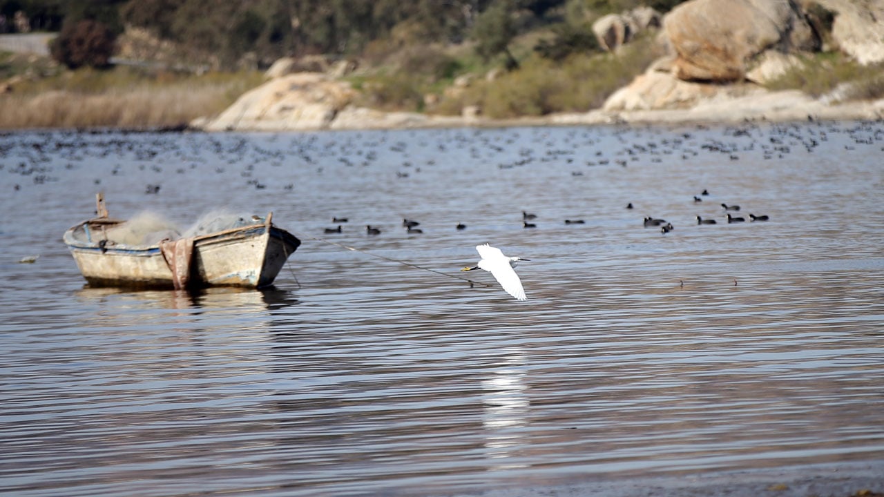 Foto - Her şey değişmeye başladı! Bafa Gölü’nde sular yükselince yaşam hareketlendi