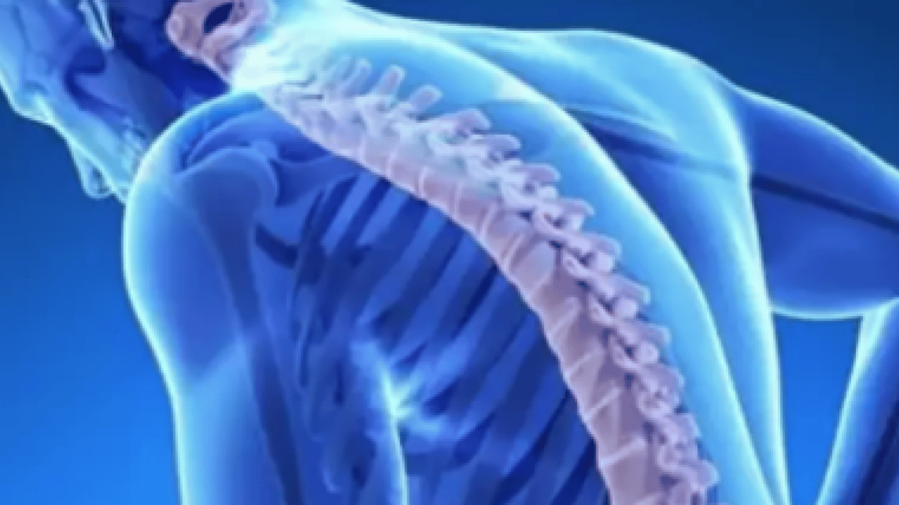 Foto - Her şeyi açıkladılar... Kemik yapısını güçlendiren o formül ortaya çıktı! 