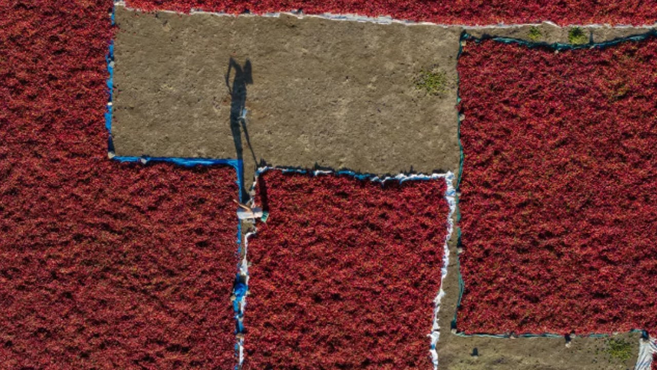 Foto - Her sofrada var: Kalp krizini engelliyor!