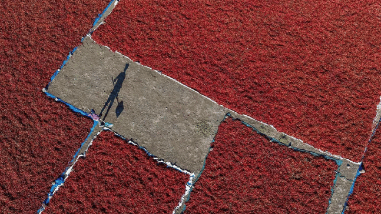 Her sofrada var: Kalp krizini engelliyor!