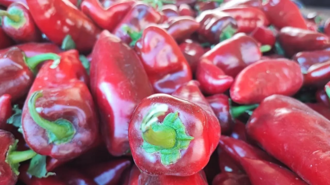 Foto - Her sofrada var: Kalp krizini engelliyor!