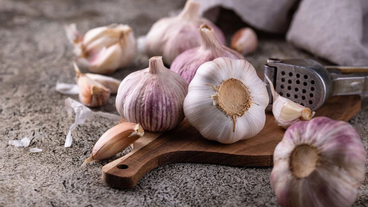 Foto - Her yemekte kullanılıyor! Sarımsak yedikten sonra vücutta neler oluyor?