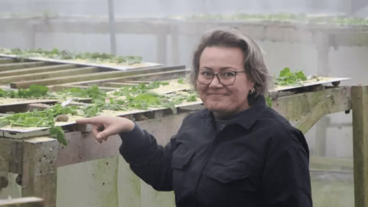 Her yerde onlardan var: Kilosunu 150 bin liradan satıyor!