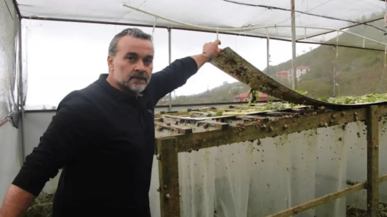 Foto - Her yerde onlardan var: Kilosunu 150 bin liradan satıyor!