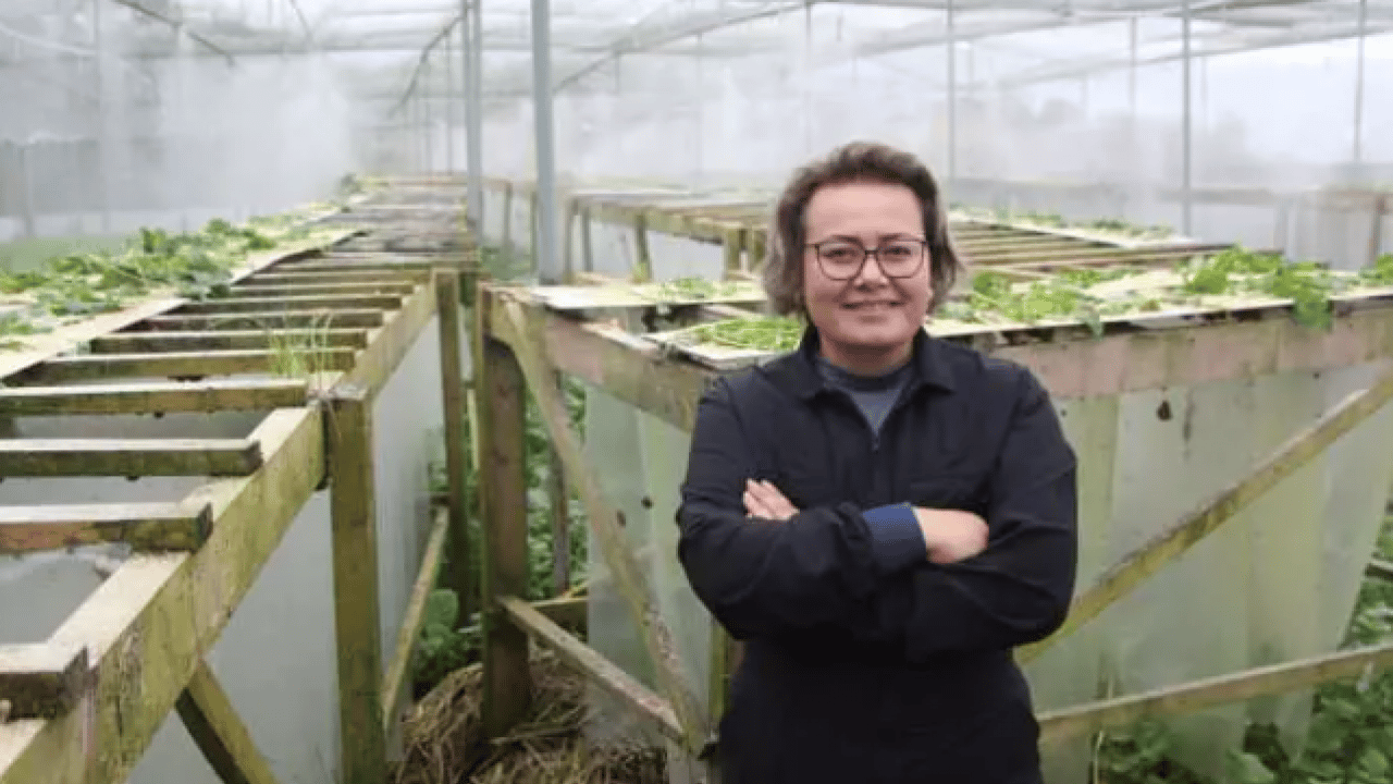 Foto - Her yerde onlardan var: Kilosunu 150 bin liradan satıyor!