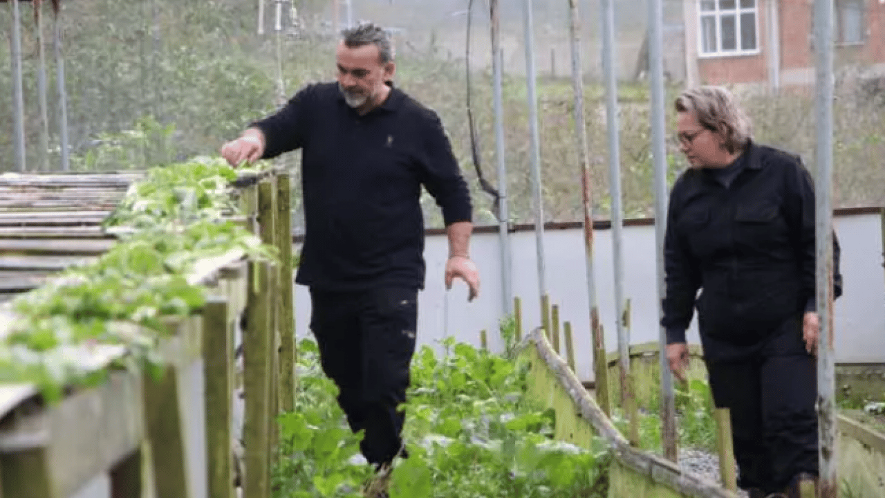 Foto - Her yerde onlardan var: Kilosunu 150 bin liradan satıyor!