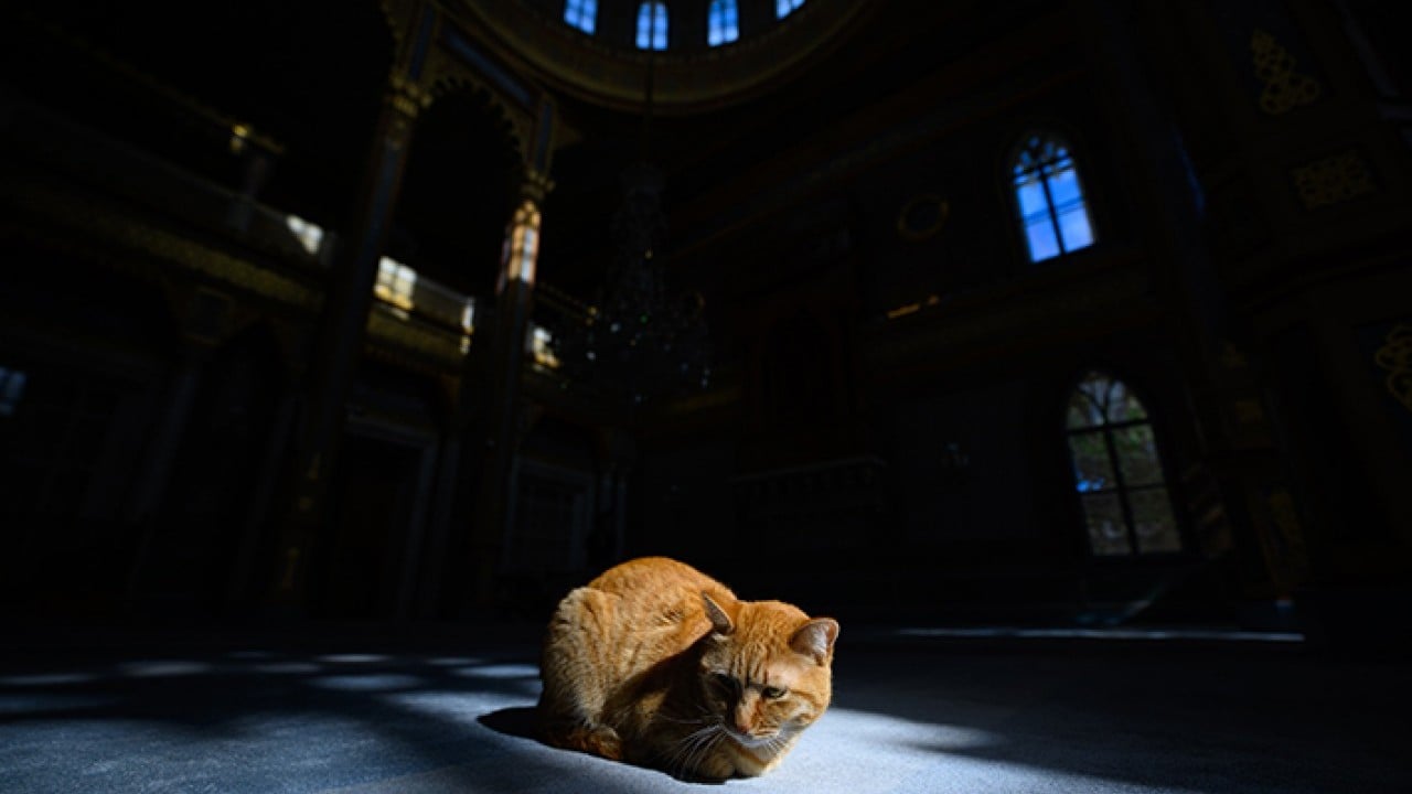 Foto - Her yerinde 2. Abdülhamid'in el izi ve teri var