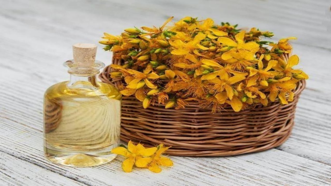 Foto - Her yudumu şifa mübarek! 1 bardakla basuru yok ediyor, kalbi dipçik gibi yapıyor, cildi gençleştiriyor