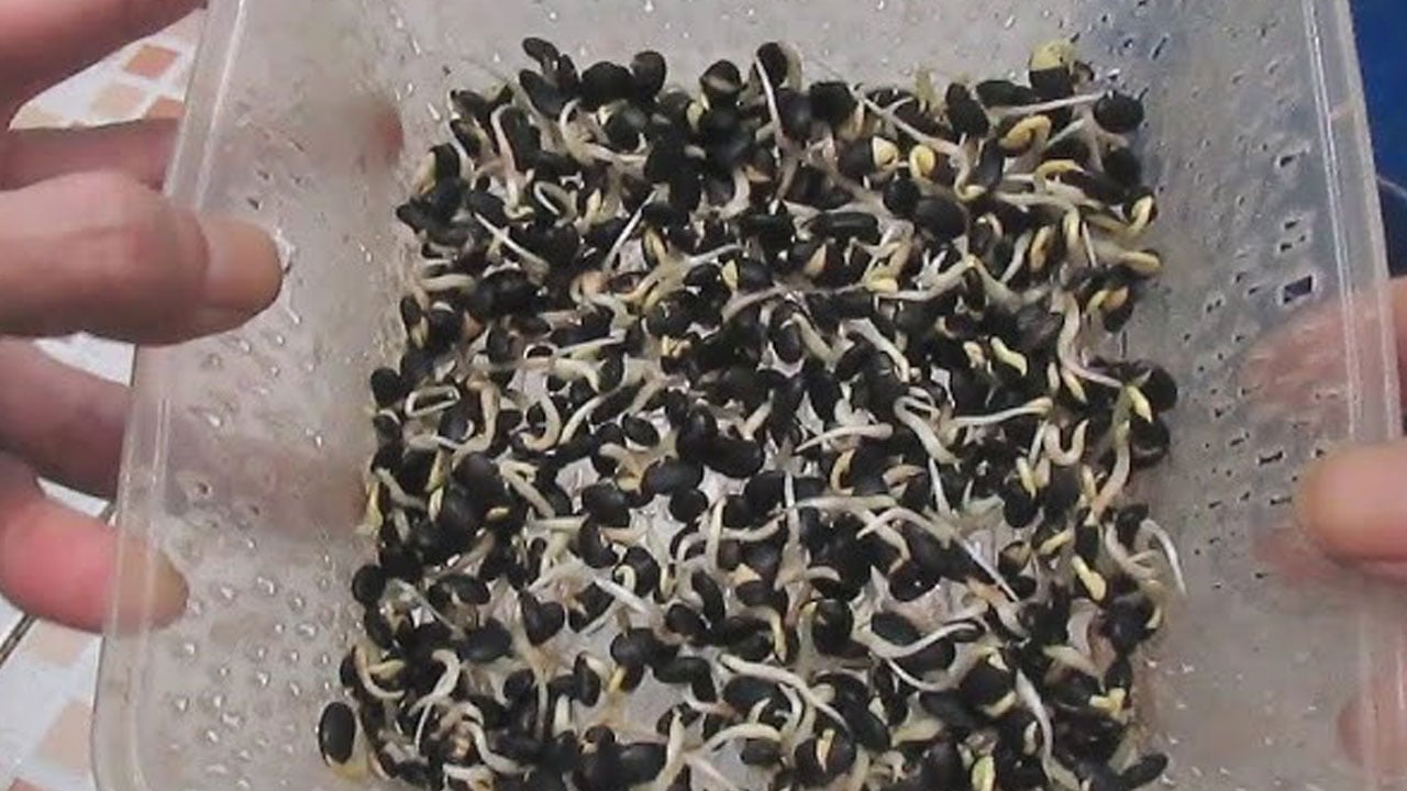 Foto - Herkes evinde yapabiliyor: Bağırsakları çamaşır suyuyla yıkanmış gibi tertemiz yapıyor