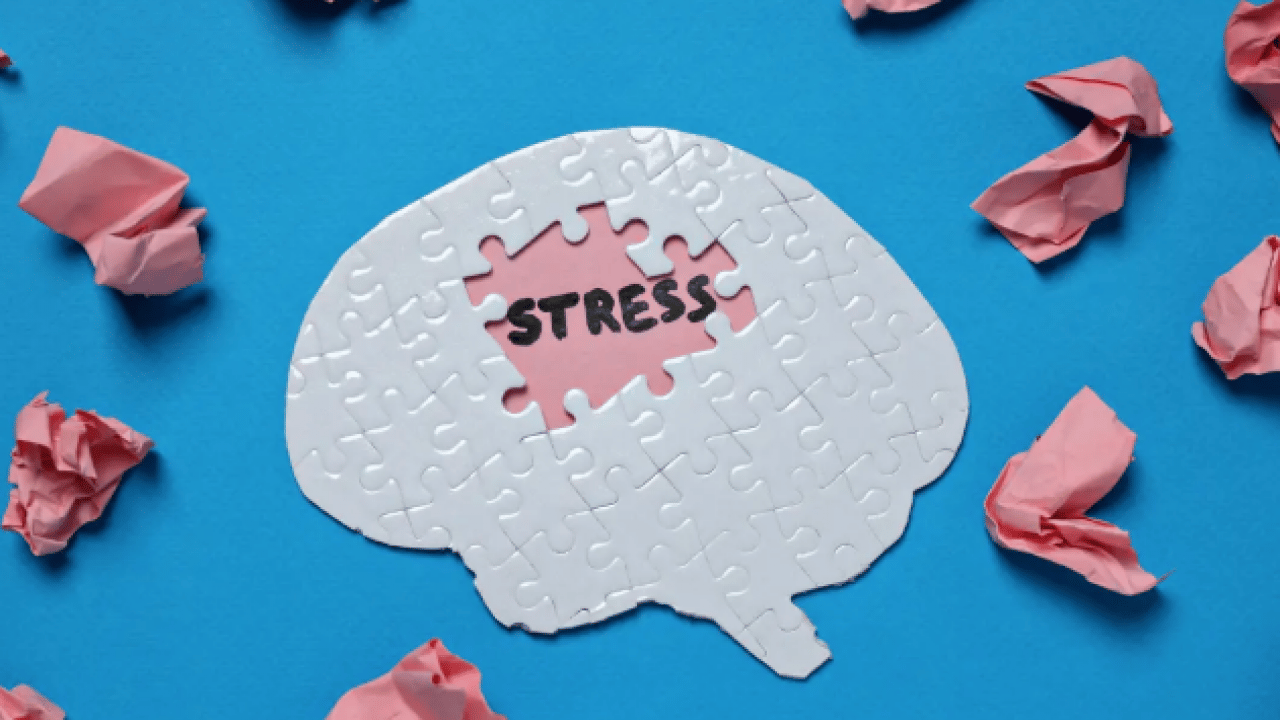 Foto - Herkes hafife alıyor: Meğer beyni çökertiyormuş!