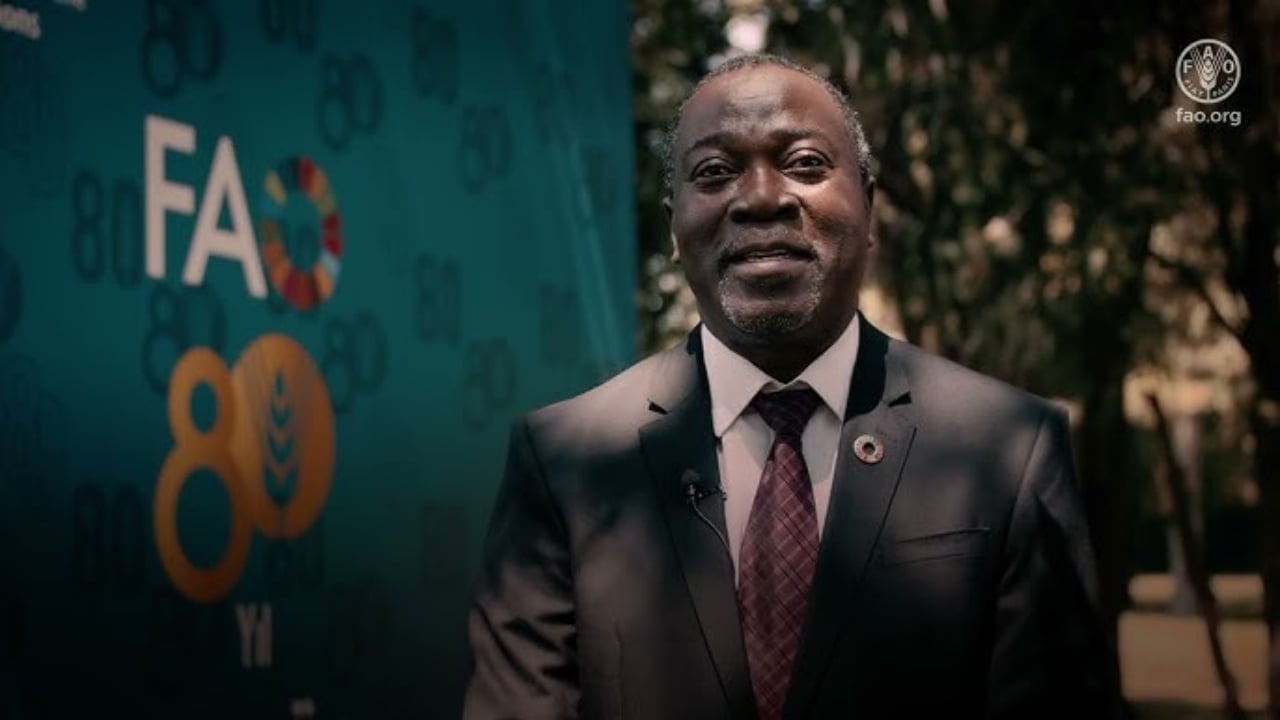 Foto - Herkes ters köşe! BM’den, birilerini dumura uğratacak "Türkiye" itirafı