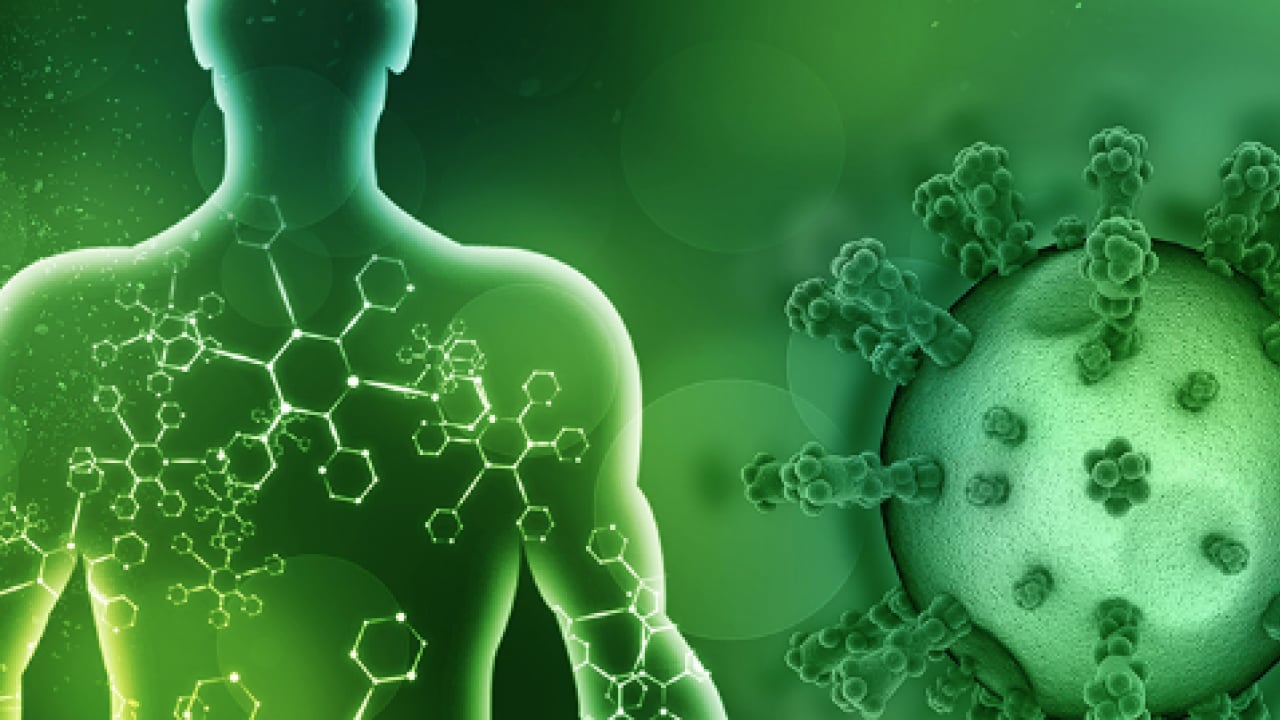 Foto - Herkesi ilgilendiren kararlar: Bağışıklık kalkanında 4 kritik gedik... Uzmanlar alarm verdi