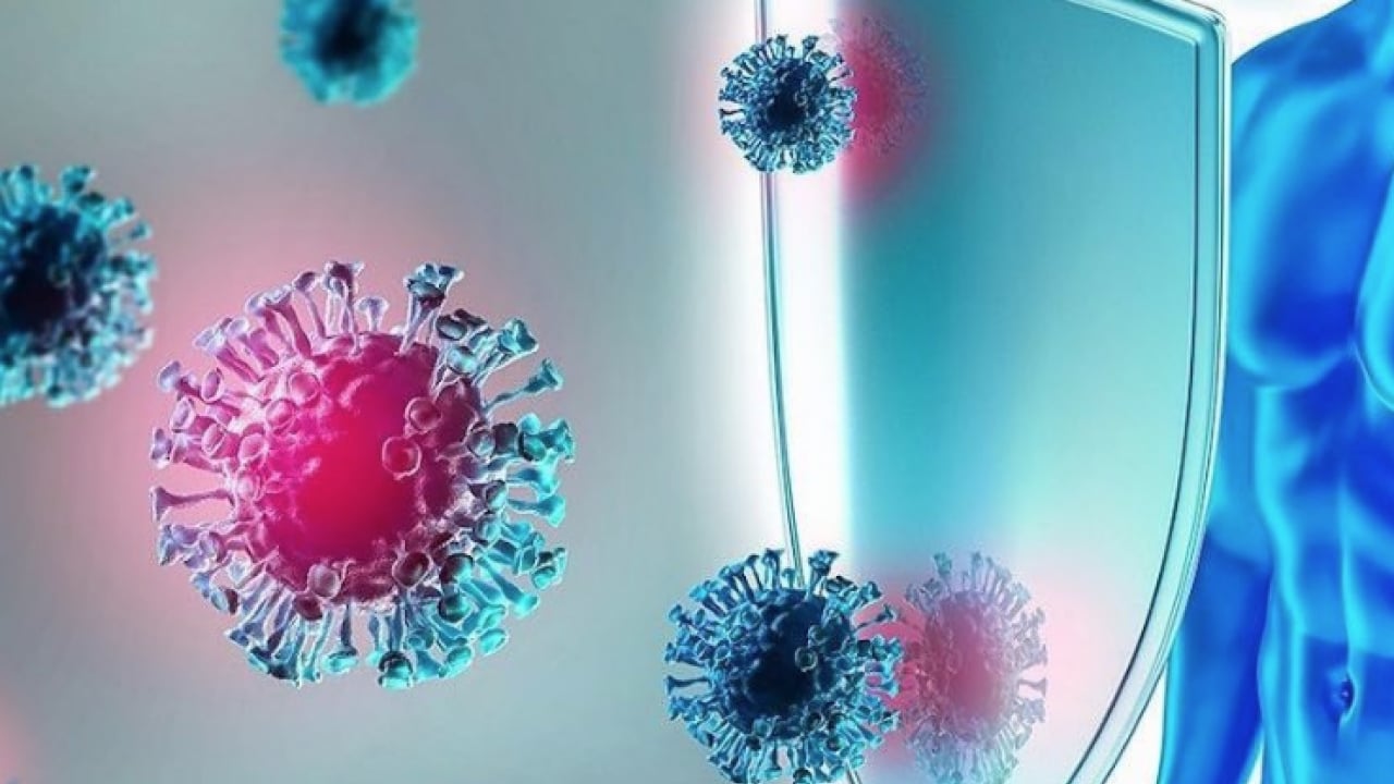 Foto - Herkesi ilgilendiren kararlar: Bağışıklık kalkanında 4 kritik gedik... Uzmanlar alarm verdi