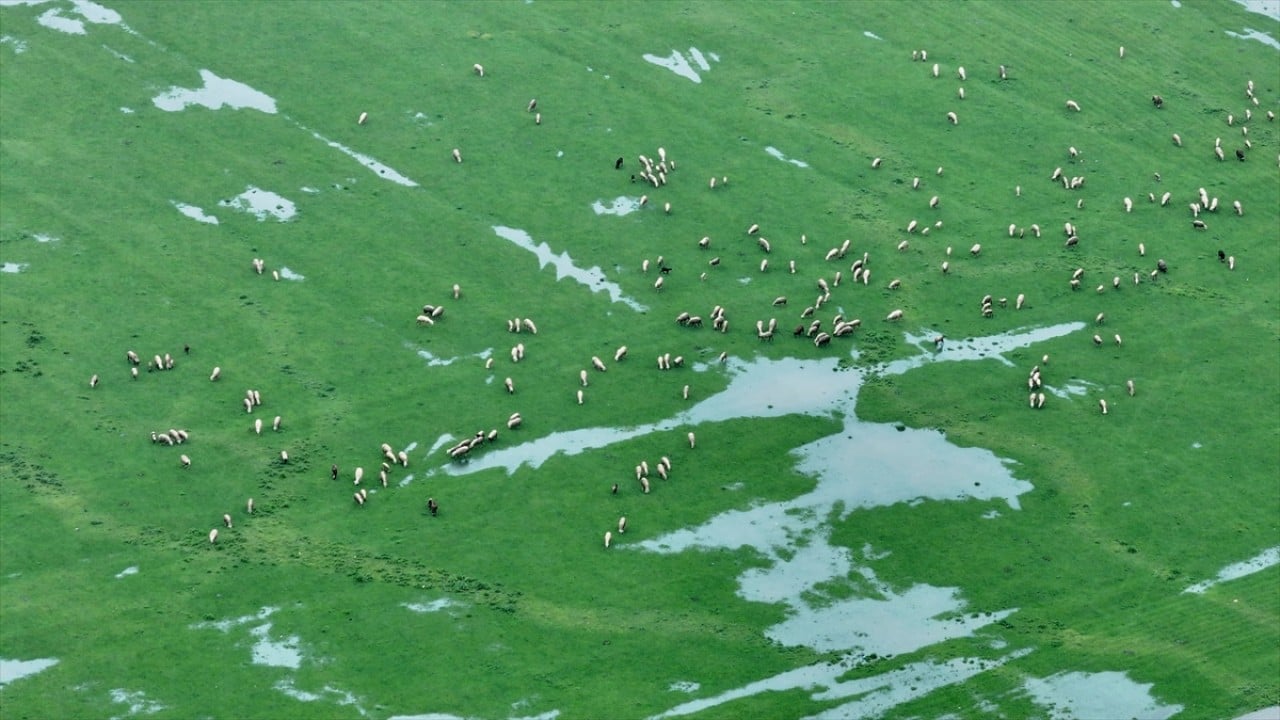 Foto - Heyelan riski vardı! Tabiat Parkı ziyarete kapatıldı