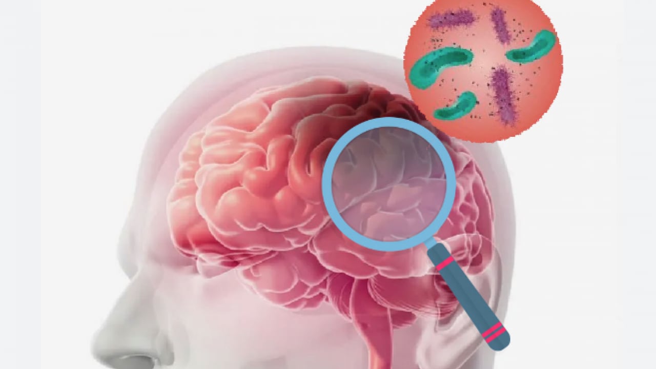 Hib, pnömokok ve meningokok aşıları... Menenjit belirtileri olan bir çocuk için her dakika kritik...