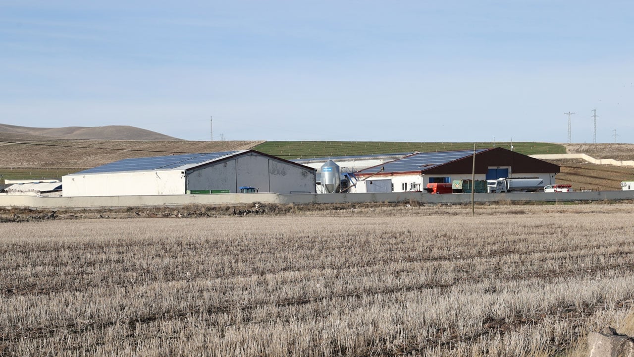 Foto - Hibe desteğiyle başladı, üretimi katladı! Günde 1,5 ton süt üretiyor