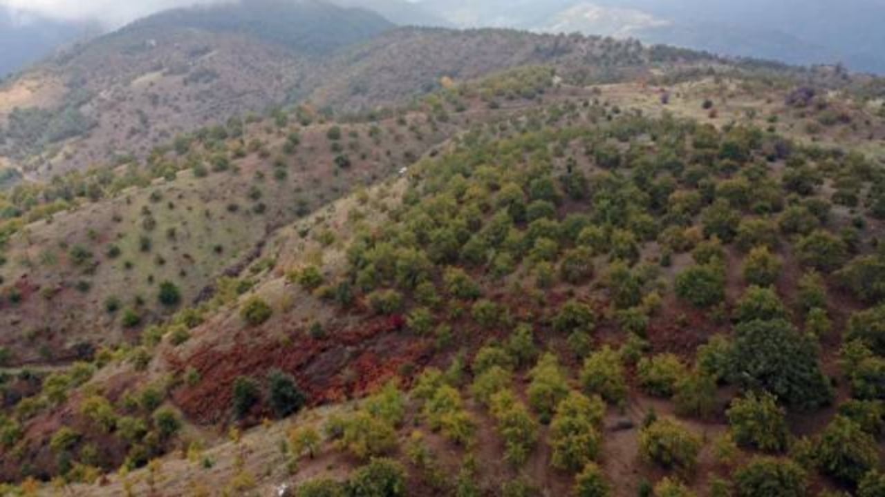 Foto - Hiç kimse bu kadarını beklemiyordu! Mimar baba ve mühendis kızı bu işi kurup 20 ülkeye satmaya başladı 