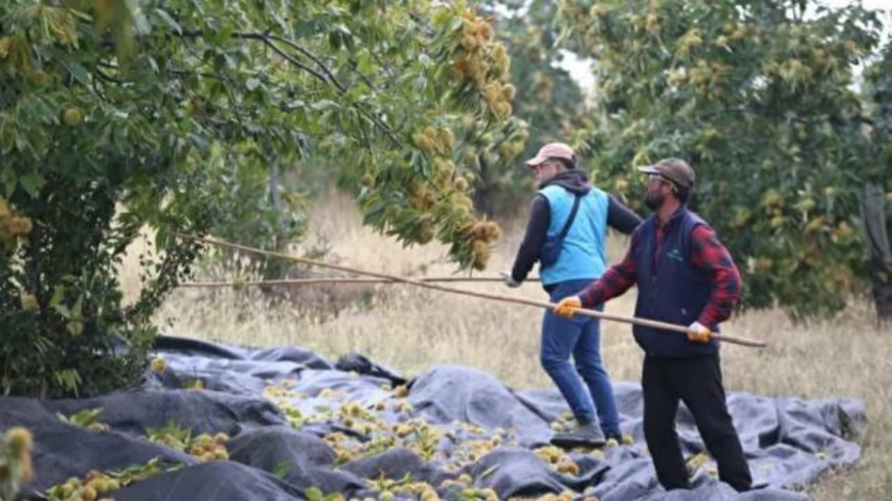 Foto - Hiç kimse bu kadarını beklemiyordu! Mimar baba ve mühendis kızı bu işi kurup 20 ülkeye satmaya başladı 