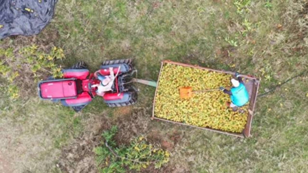 Foto - Hiç kimse bu kadarını beklemiyordu! Mimar baba ve mühendis kızı bu işi kurup 20 ülkeye satmaya başladı 