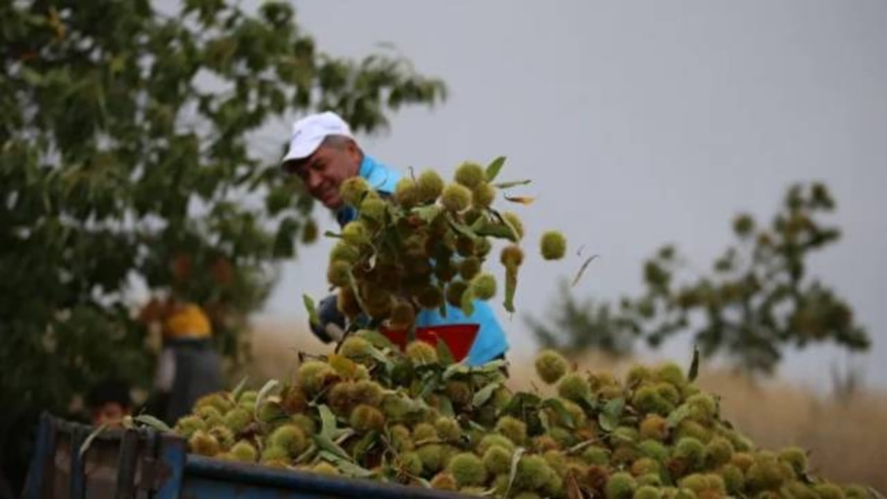 Foto - Hiç kimse bu kadarını beklemiyordu! Mimar baba ve mühendis kızı bu işi kurup 20 ülkeye satmaya başladı 