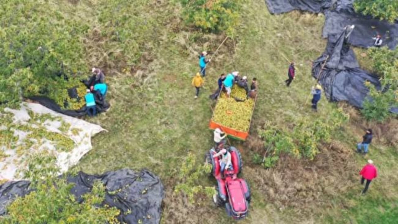 Foto - Hiç kimse bu kadarını beklemiyordu! Mimar baba ve mühendis kızı bu işi kurup 20 ülkeye satmaya başladı 