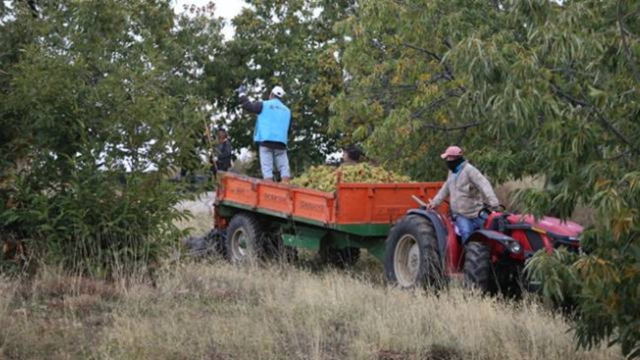 Foto - Hiç kimse bu kadarını beklemiyordu! Mimar baba ve mühendis kızı bu işi kurup 20 ülkeye satmaya başladı 