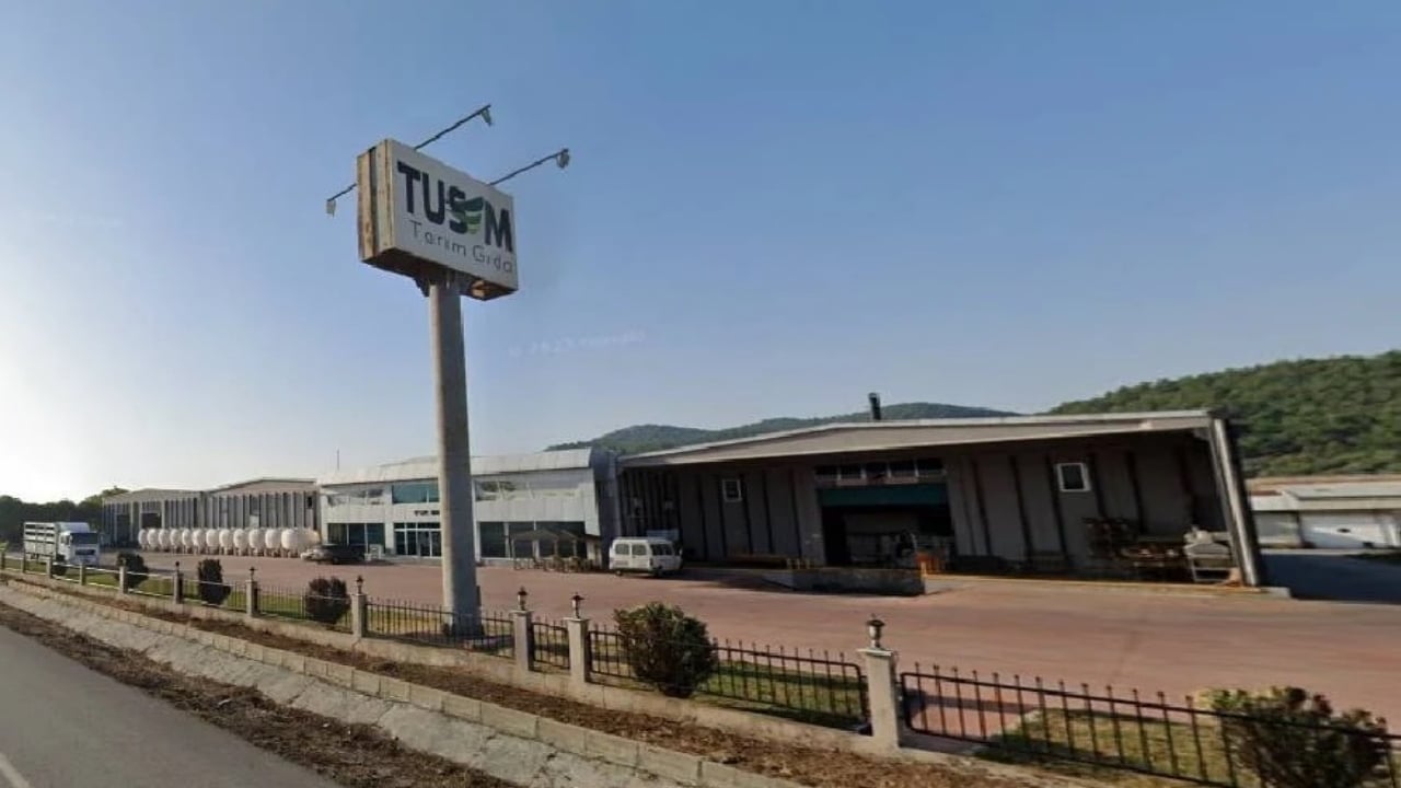 Foto - Hiç kimse bunu beklemiyordu! Türkiye’nin zeytin devi iflas etti