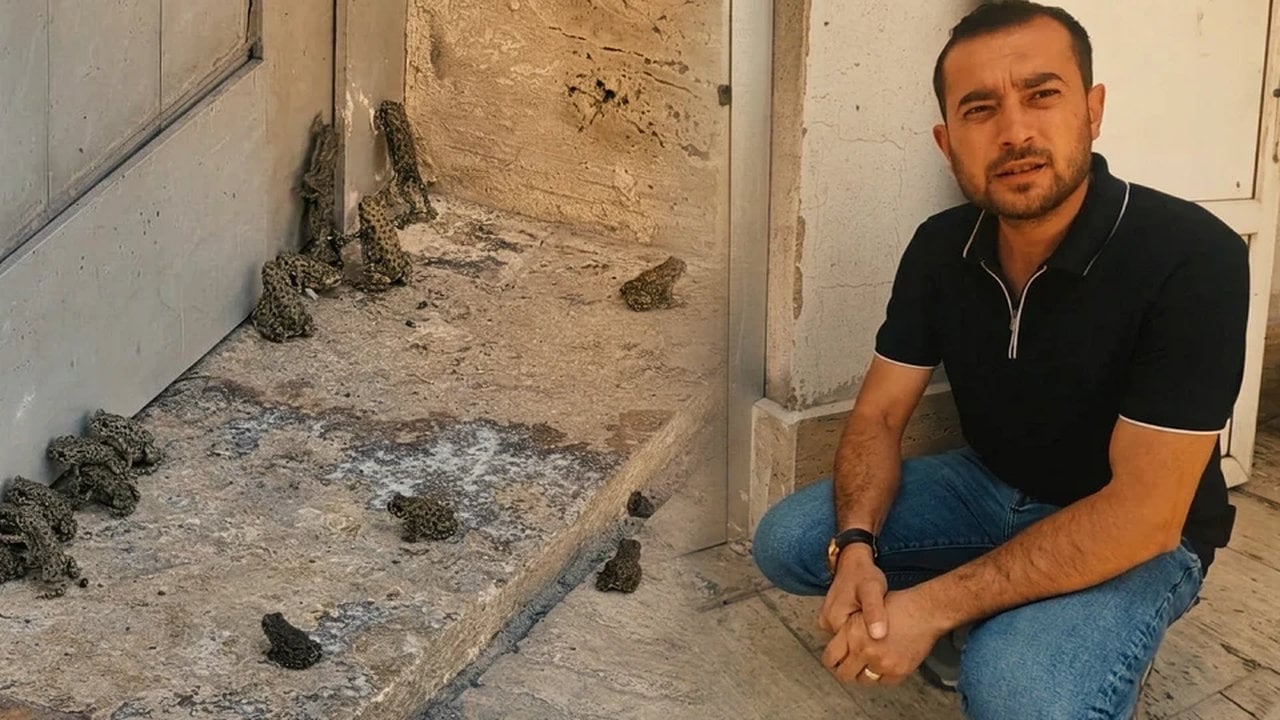 Foto - Hikmet mi, başka bir şey mi? Sivaslılar, yağış sonrası görünce, gözlerine inanamadı