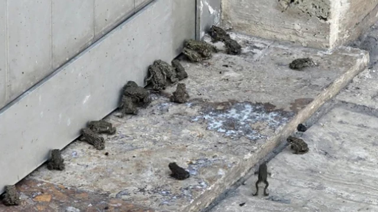 Foto - Hikmet mi, başka bir şey mi? Sivaslılar, yağış sonrası görünce, gözlerine inanamadı