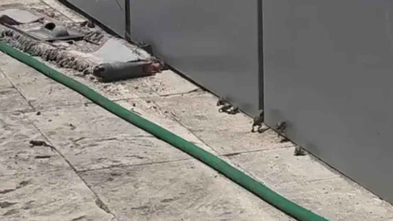 Foto - Hikmet mi, başka bir şey mi? Sivaslılar, yağış sonrası görünce, gözlerine inanamadı