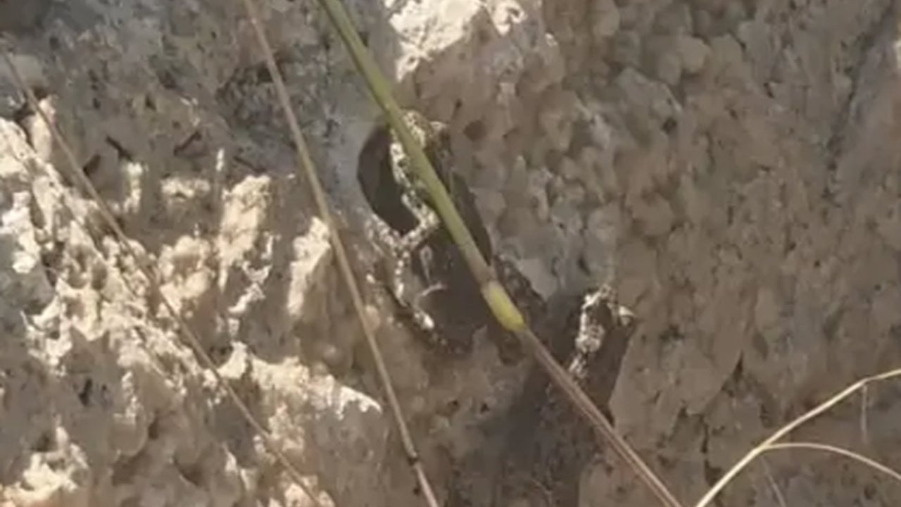 Foto - Hikmet mi, başka bir şey mi? Sivaslılar, yağış sonrası görünce, gözlerine inanamadı
