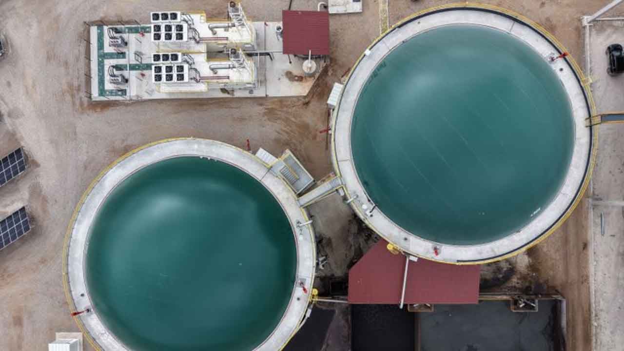 Foto - Hindistan ne yaptıysa olmadı! Türkiye konusunda geri adım attı