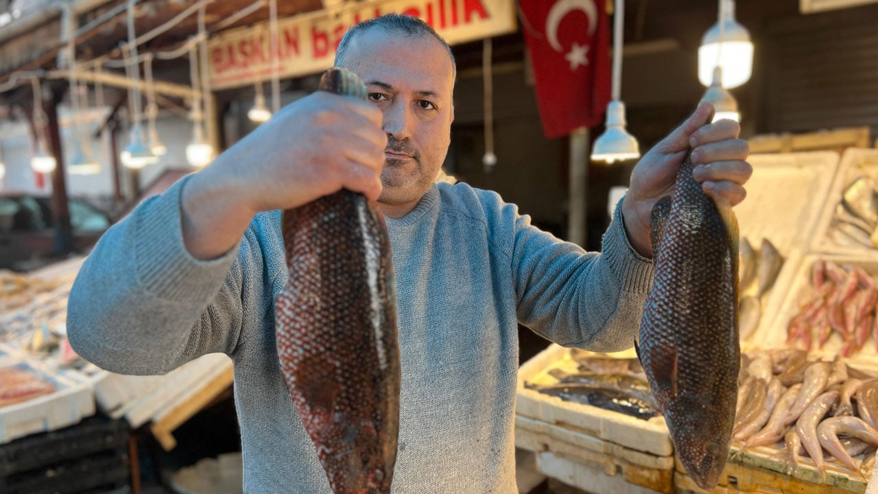 Foto - Hint Okyanusu’ndan Mersin’e geldiler! Gören dönüp dönüp tekrar bakıyor