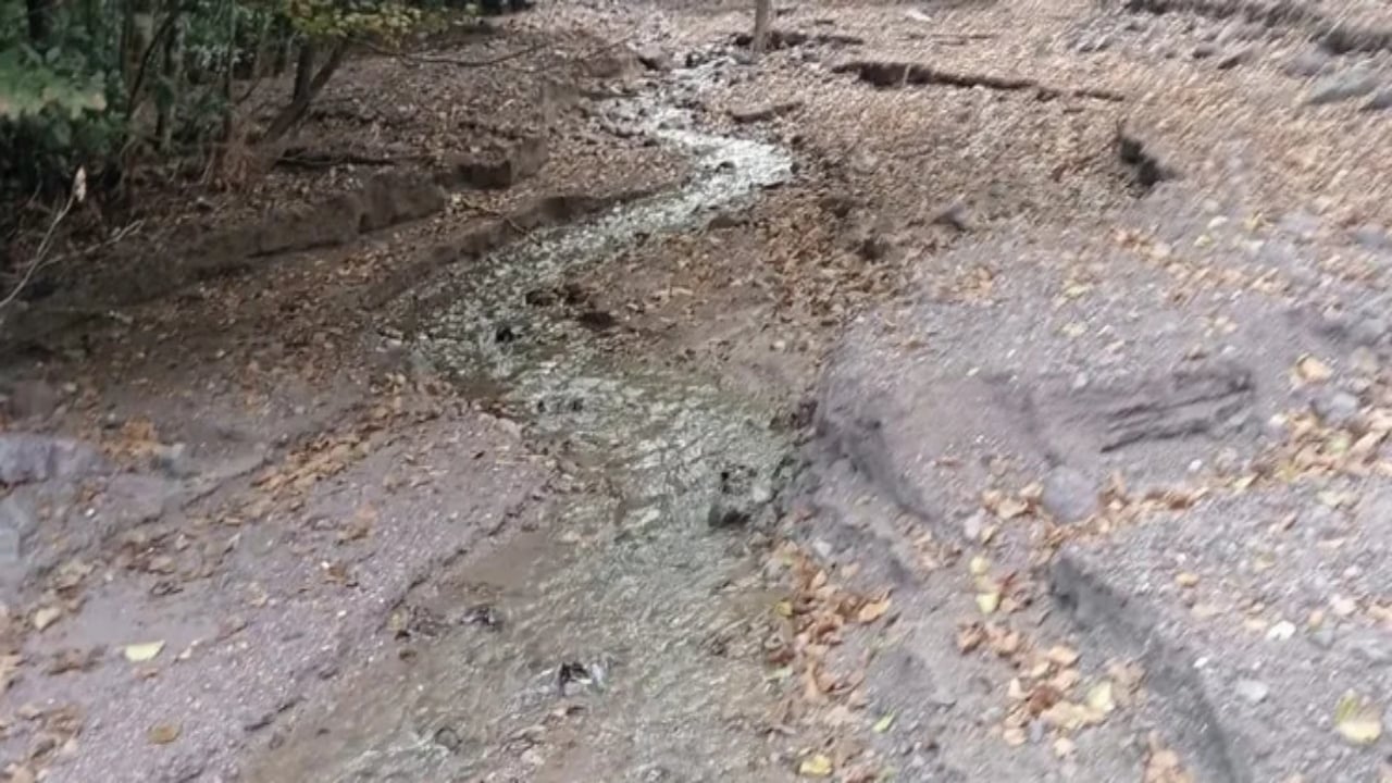 Foto - Hobi diye başladı, İstanbul’un göbeğinde saatte 2 gram altın çıkardı! Dereleri karış karış arıyor, haftada tam 13 gram buluyor
