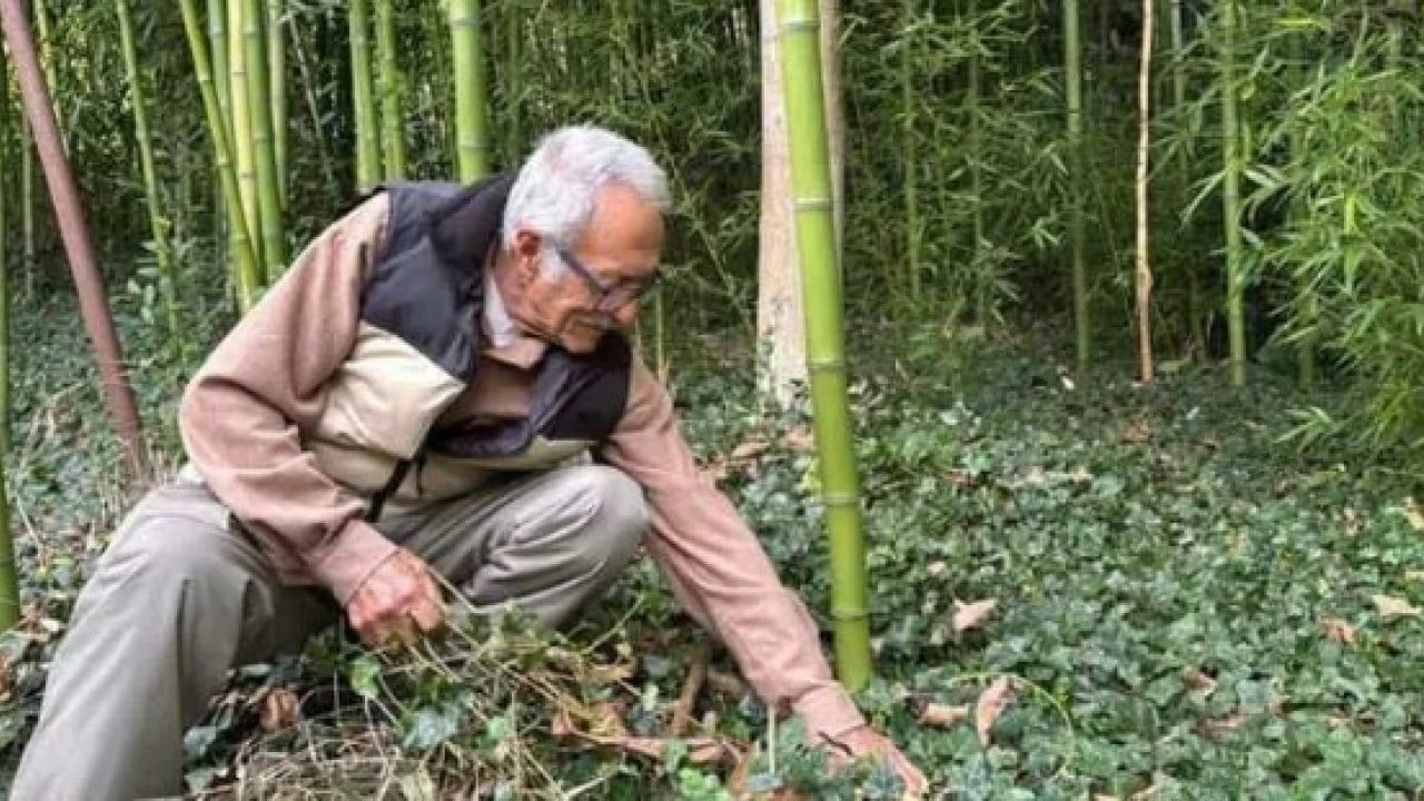 Çin'den dünyaya yayıldı! Memleketine ekti 500 bin lira kazandı!