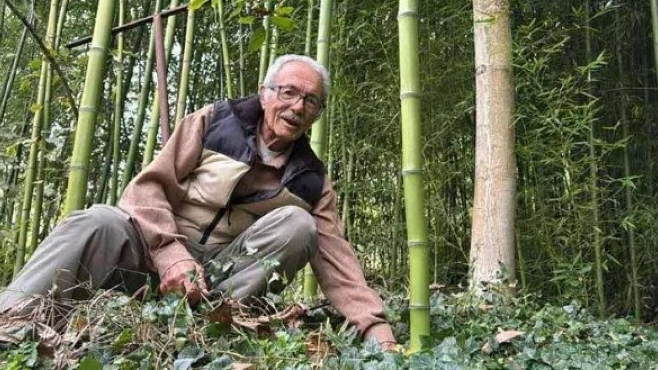 Foto - Çin'den dünyaya yayıldı! Memleketine ekti 500 bin lira kazandı!